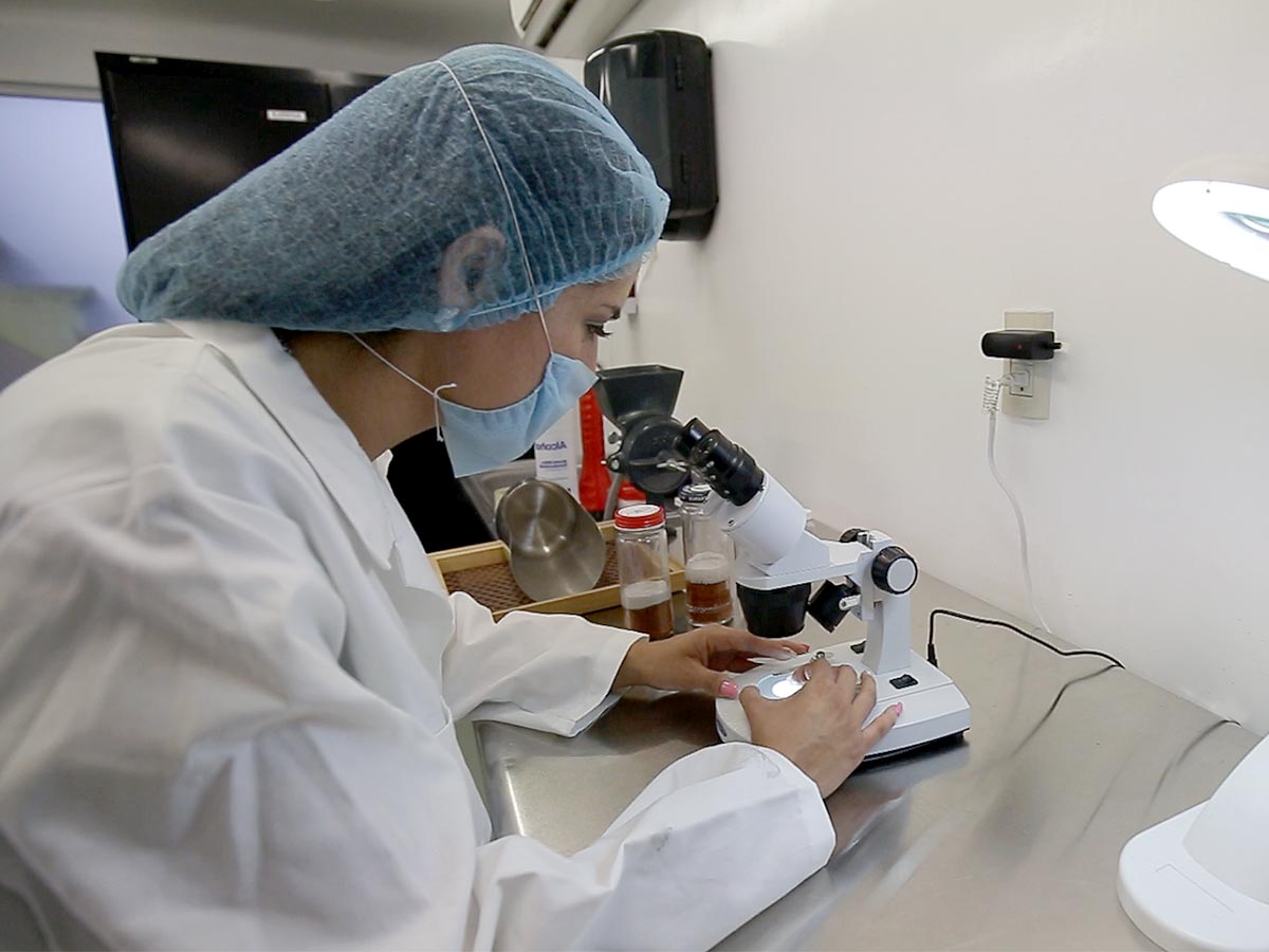 Punto de Inspección y Verificación Internacional